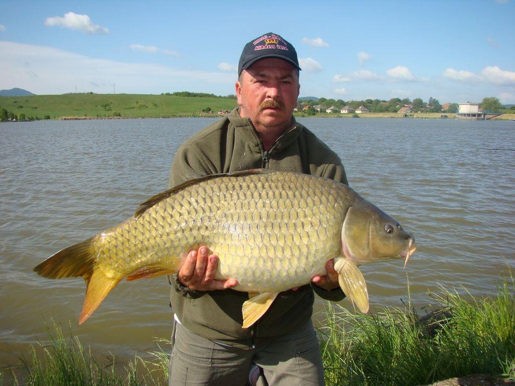 Cipibaits - 00105957.jpg